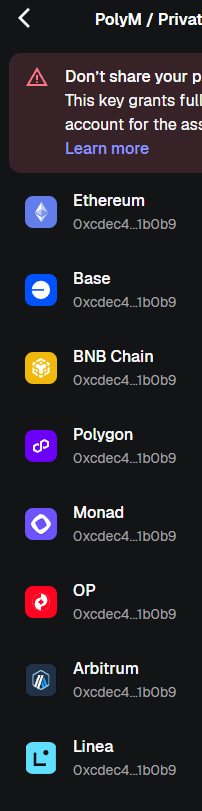 MetaMask — lista de redes disponíveis para exportar a chave, com Polygon visível